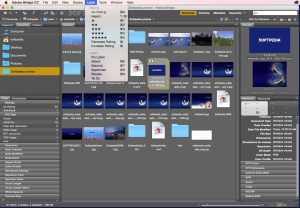 What is adobe bridge cc