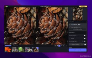 Topaz Photo Pro Portable