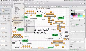 OmniGraffle Pro